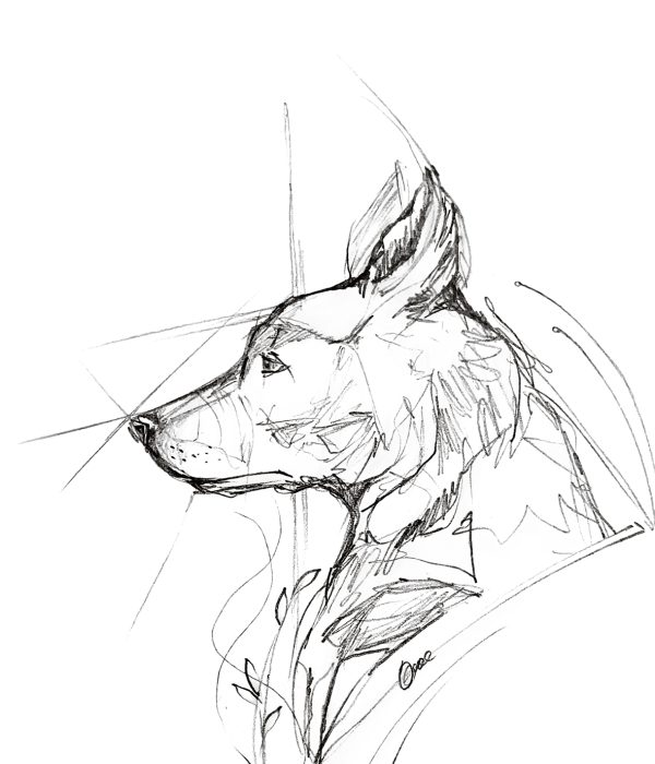hunt